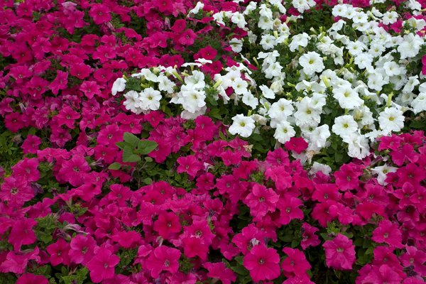 Discovering 18th century french clocks: styles, makers and designs