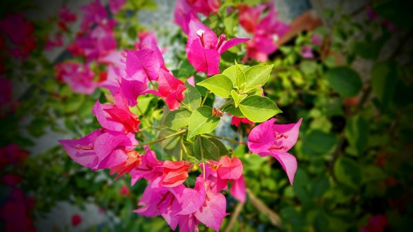 Key factors to think about when buying a property with a private dock in southampton